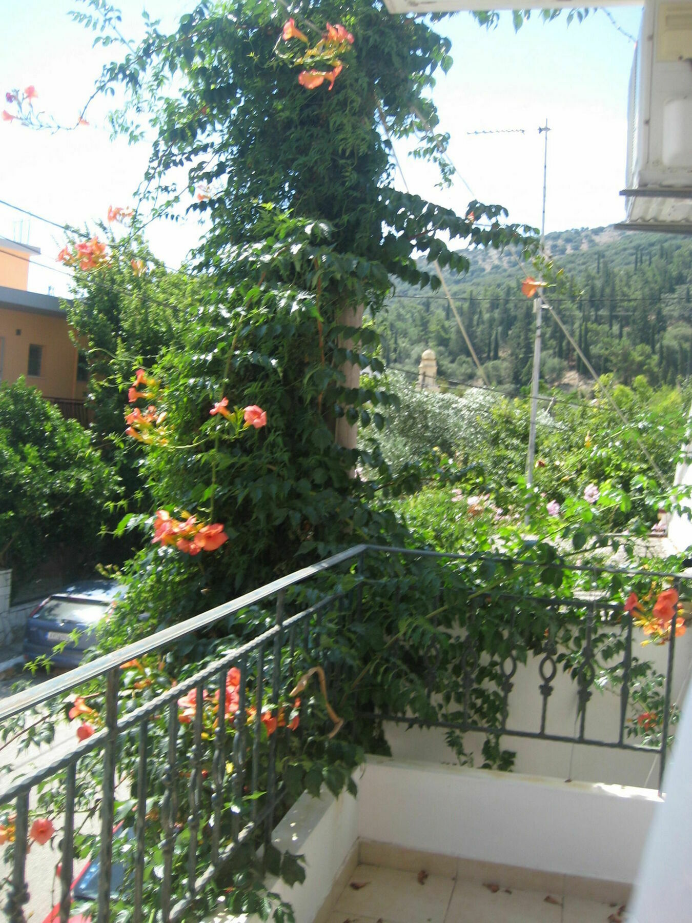 Giannos Apartments Agia Efimia エクステリア 写真